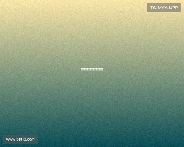 城市定向赛赛事城市定向赛规则